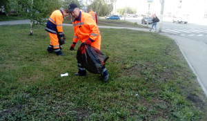 Барнаульские специалисты косят газоны и убирают мусор в городе.
