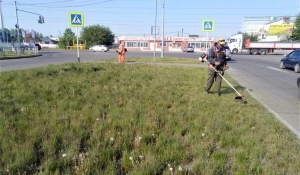 Барнаульские специалисты косят газоны и убирают мусор в городе.