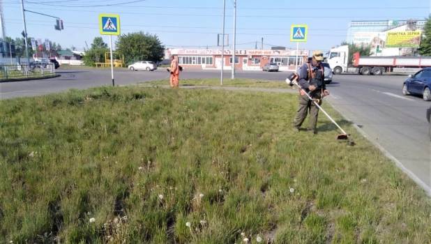 Барнаульские специалисты косят газоны и убирают мусор в городе.