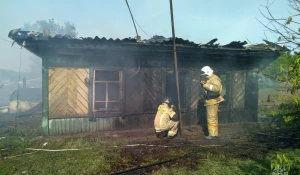 Пожар в Алейском районе