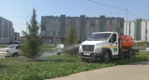В Барнауле усилили полив газонов и деревьев.