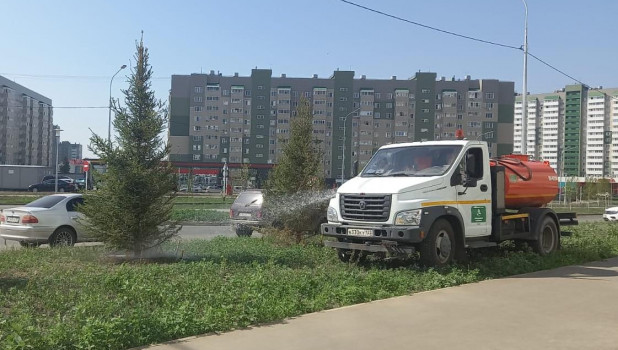 В Барнауле усилили полив газонов и деревьев.