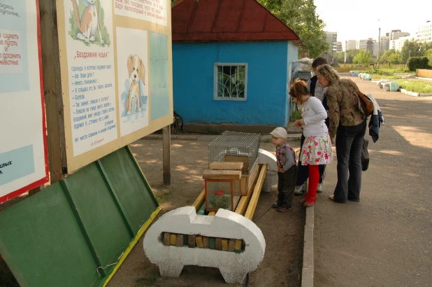 Лесная сказка в нулевые. 