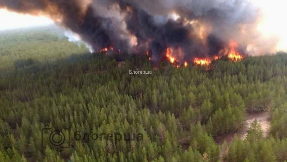 Пожар в Егорьевском районе