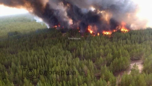 Лесной пожар в Егорьевском районе