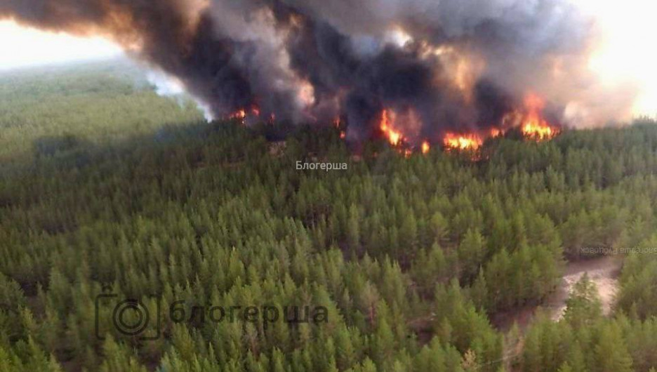 Из зоны ЧС: площадь лесного пожара на Алтае увеличилась до 5,2 га. На месте работают самолеты-амфибии