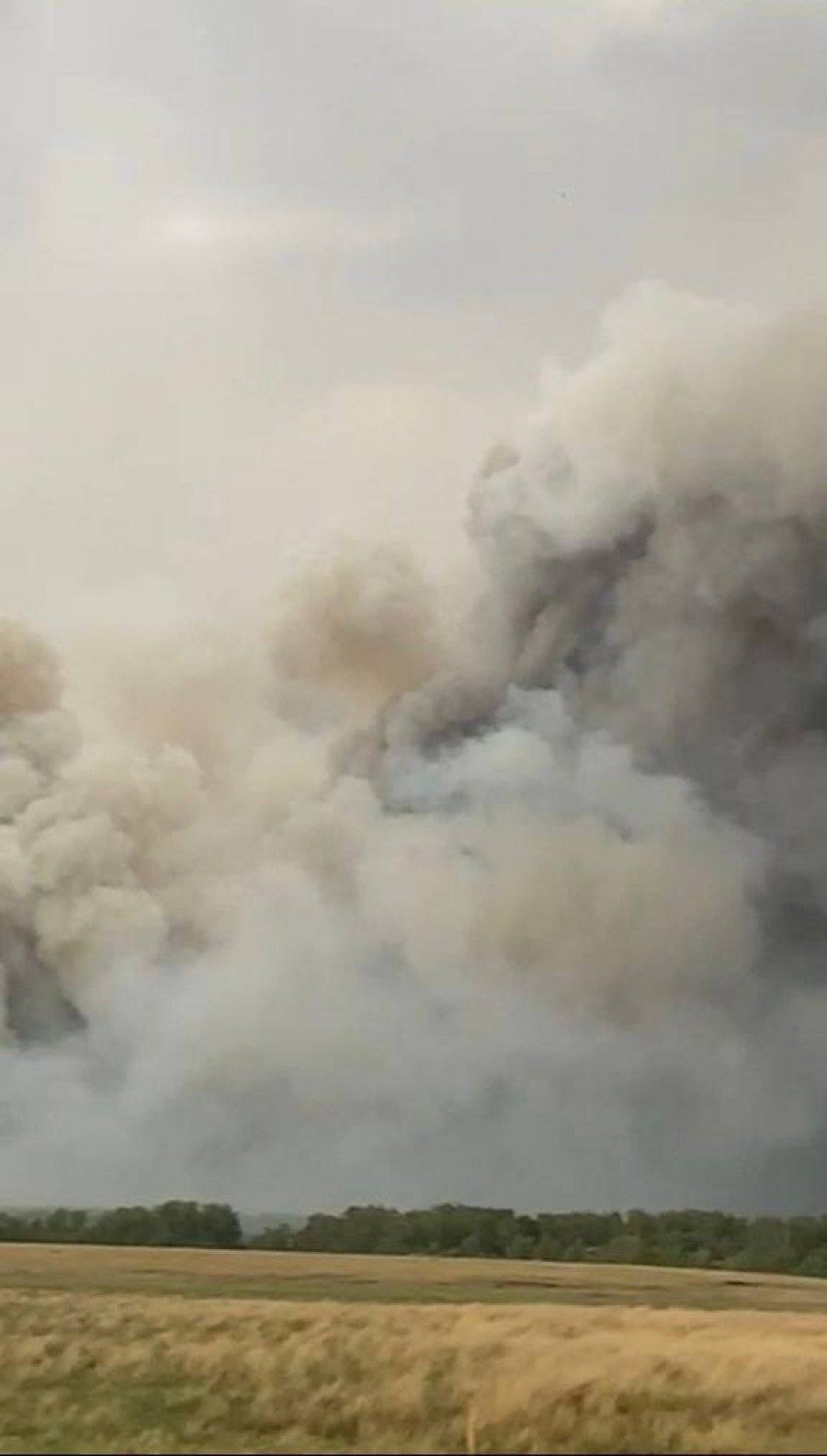 Пожар в Тюменцевском районе