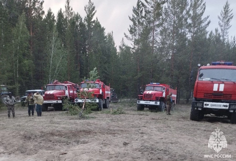 Тушение лесного пожара в Егорьевском районе