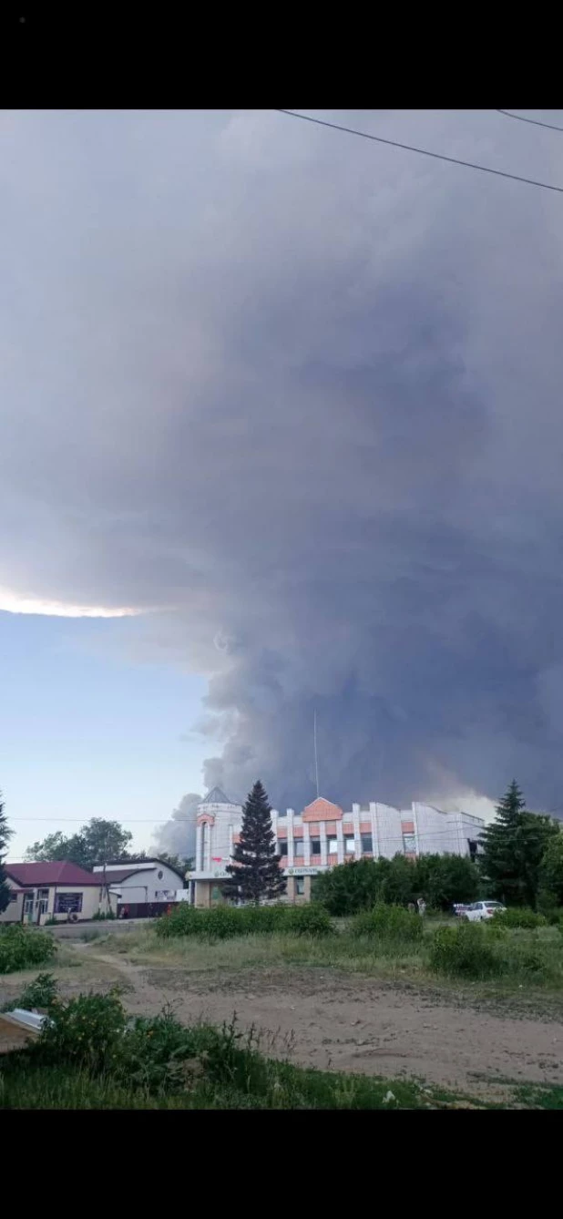 Лесной пожар в Егорьевском районе