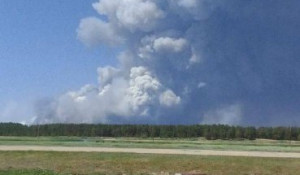 Лесной пожар в Егорьевском районе