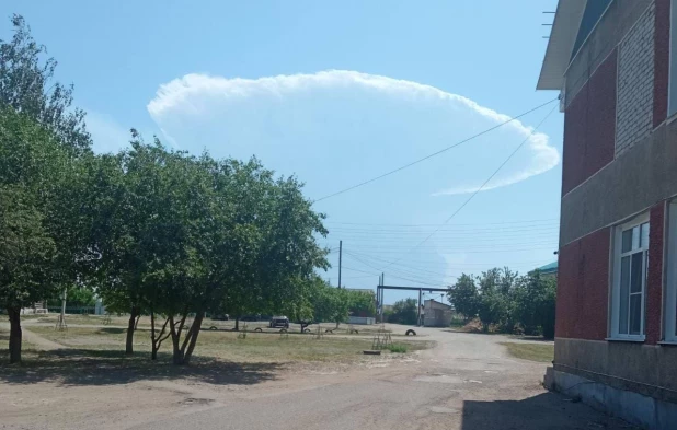 Лесной пожар в Егорьевском районе