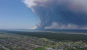 Лесной пожар в Егорьевском районе