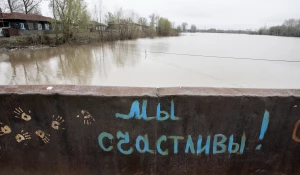 Паводок в Затоне. 2010 год. 