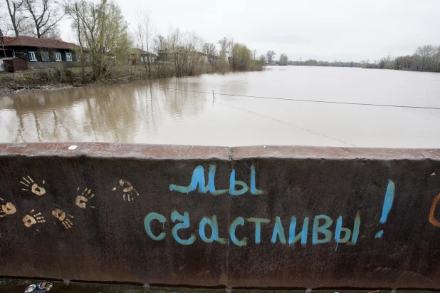 Паводок в Затоне. 2010 год. 