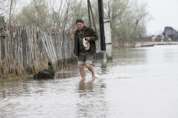 Паводок в Затоне. 2010 год. 