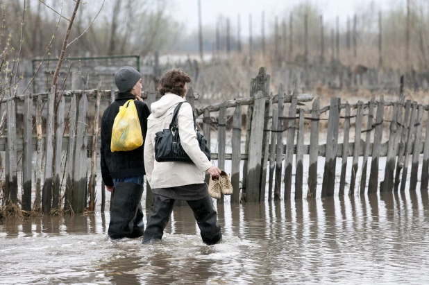 Паводок в Затоне. 2010 год. 