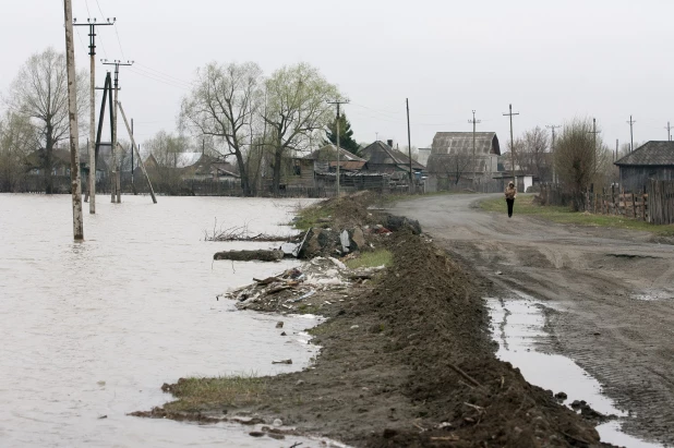 Паводок в Затоне. 2010 год. 