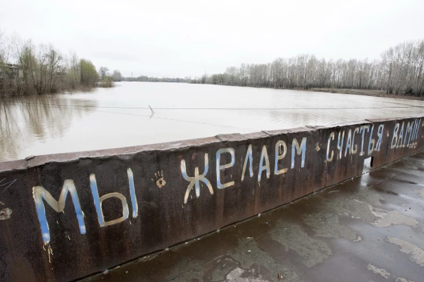 Паводок в Затоне. 2010 год. 