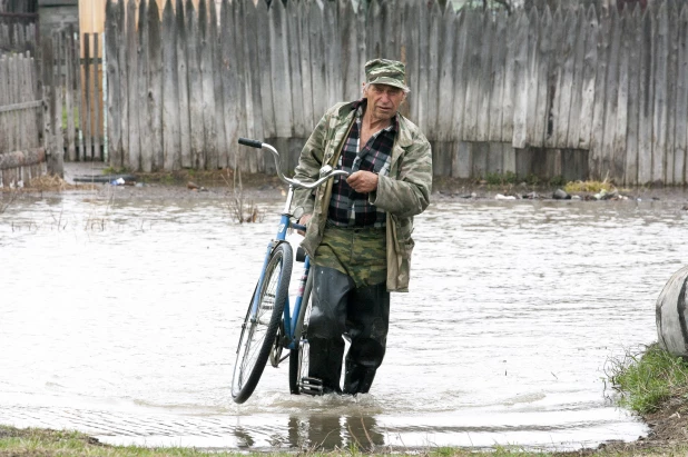 Паводок в Затоне. 2010 год. 