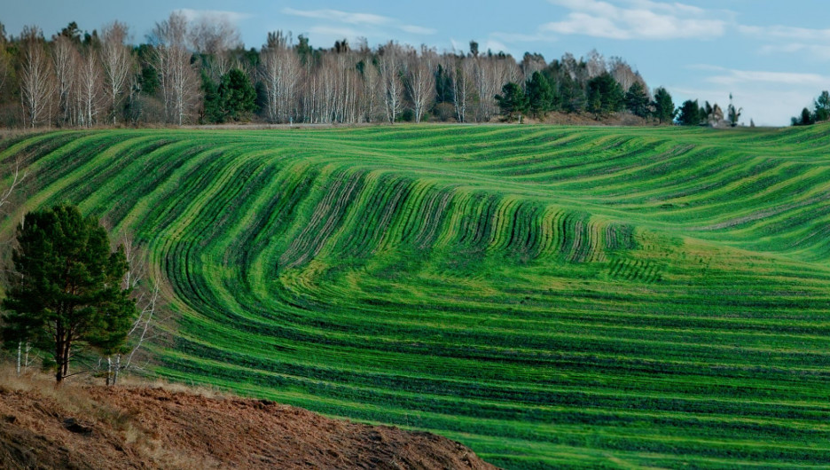 Современные технологии помогают наладить оповещение об обработке полей агрохимикатами.
