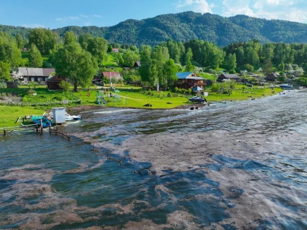 Высокая вода на Телецком озере.