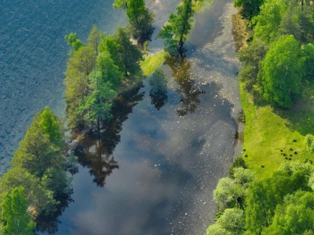 Высокая вода на Телецком озере.