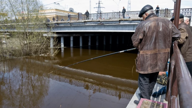 Барнаульцы рыбачат у Центрального рынка. 2010 год. 