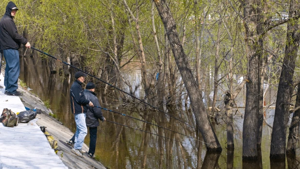 Барнаульцы рыбачат у Центрального рынка. 2010 год. 