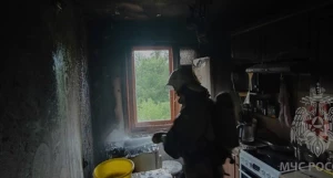 Пожар. Тушение пожара. Пожарные. МЧС. Спасатели.