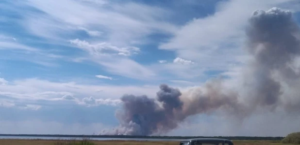 Лесной пожар в Егорьевском районе.