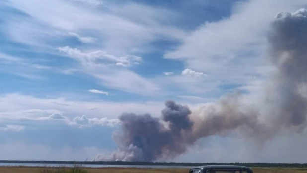 Лесной пожар в Егорьевском районе.