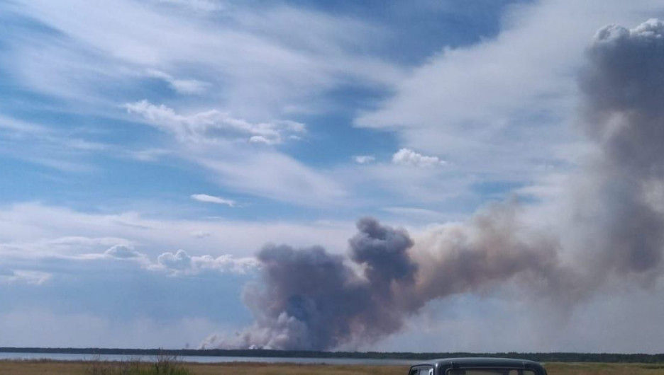Новый лесной пожар заметили жители Егорьевского района