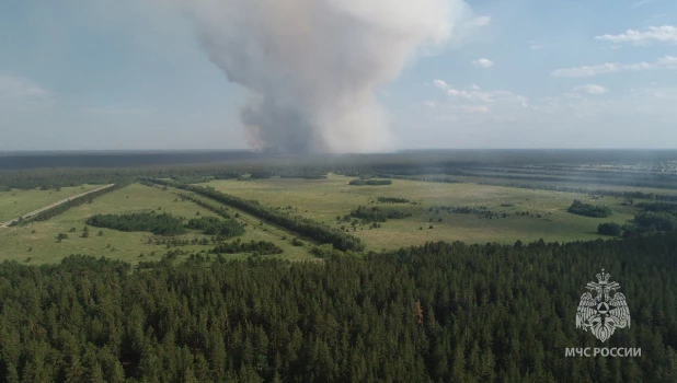 Лесной пожар в Егорьевском районе.