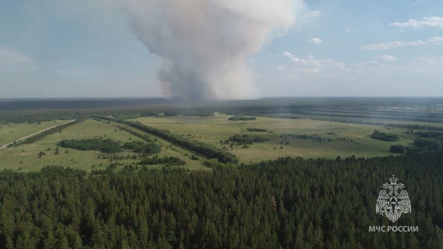 Лесной пожар в Егорьевском районе.