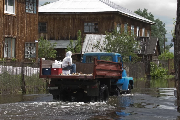 Затон. 2010