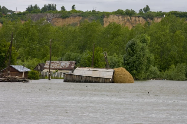 Затон. 2010 год