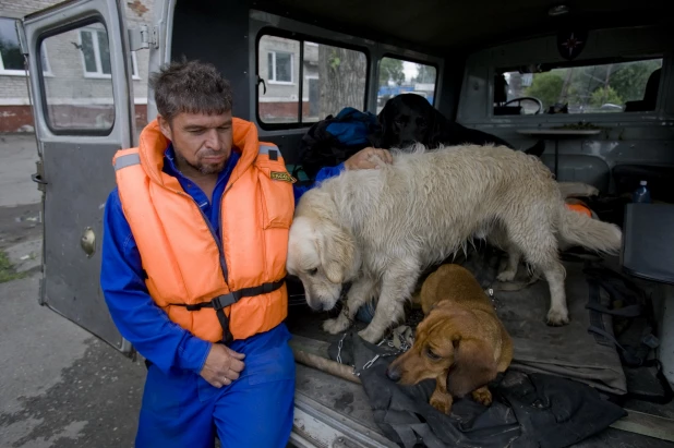 Затон. 2010 год