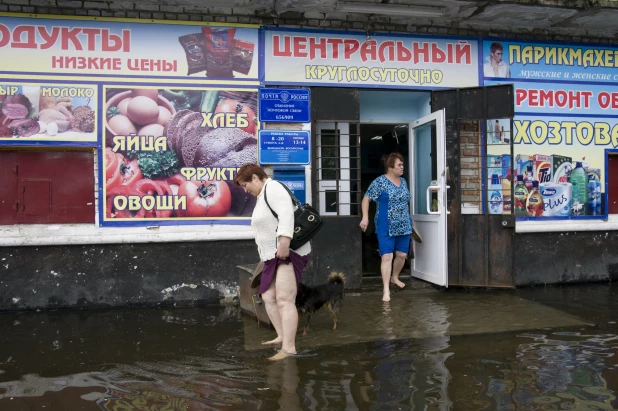 Затон. 2010 год