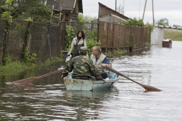 Затон. 2010 год