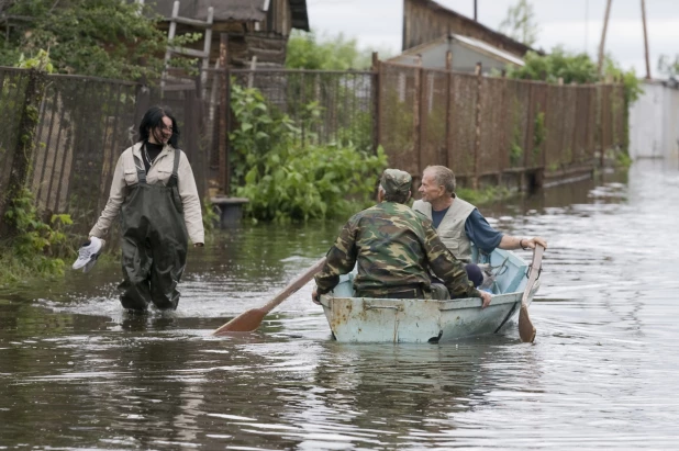 Затон. 2010 год