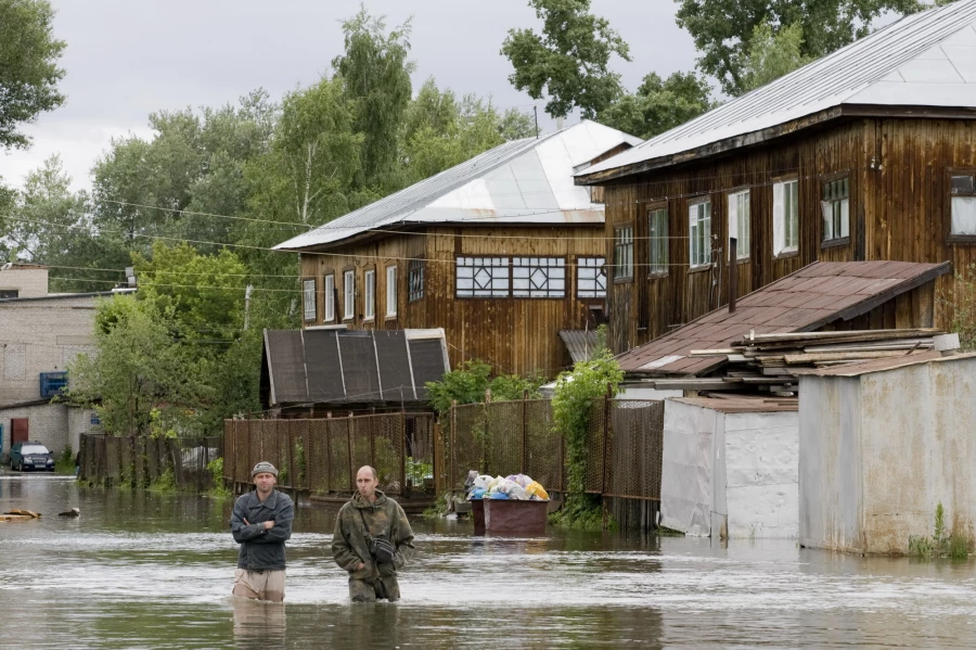 Затон. 2010 год