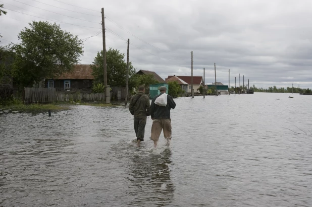 Затон. 2010 год