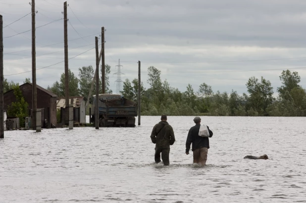 Затон. 2010 год