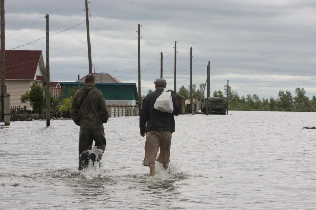 Затон. 2010 год