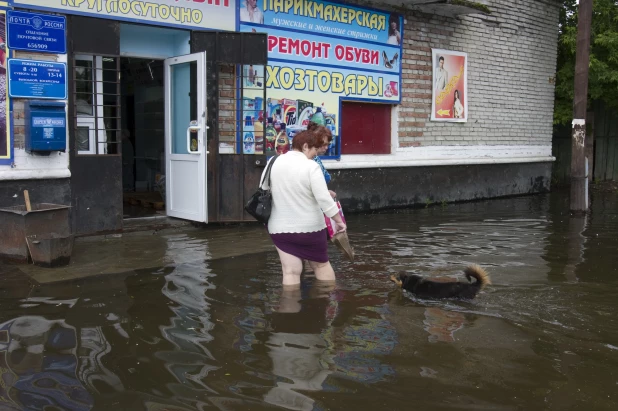 Затон. 2010 год