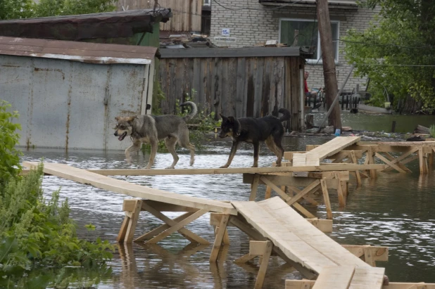 Затон. 2010 год