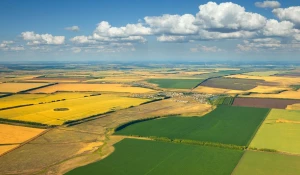 РСХБ на Алтае профинансировал АПК на 6 млрд рублей с начала года.