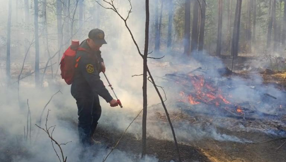 Спасатели ГУ МЧС опубликовали кадры тушения лесного пожара в Егорьевском районе