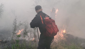 Борьба с лесным пожаром в Егорьевском районе