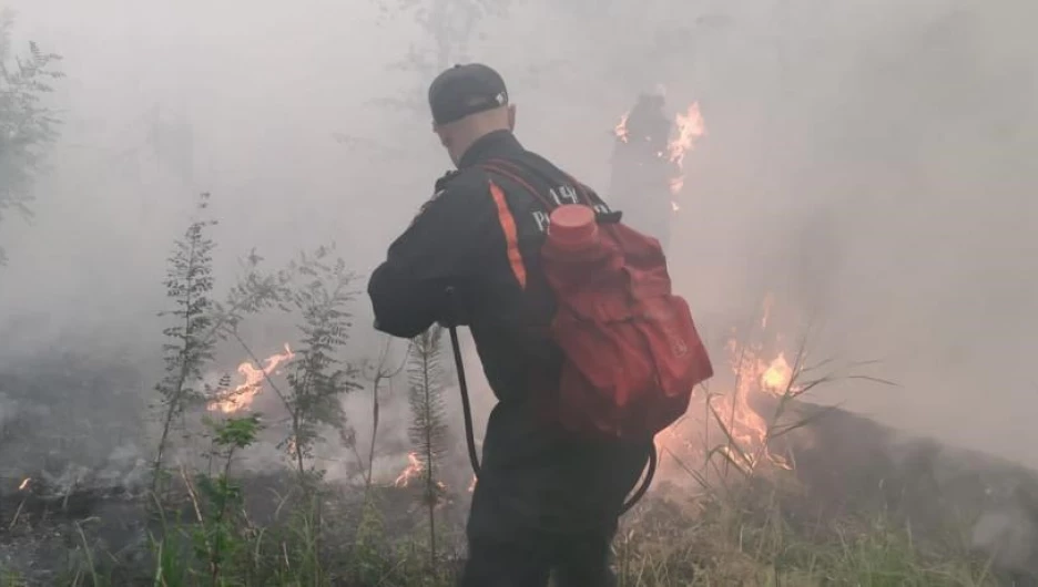 До 9 тыс. гектаров выросла площадь пожара в Егорьевском районе